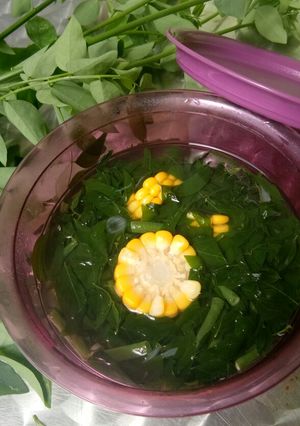 Foto resep Sayur bening daun katuk