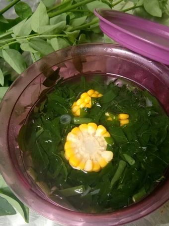 Cara Sederhana Membikin Resep  Sayur bening daun katuk yang Lezat, Enak Banget