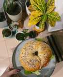 Bagels caseros 🥯 súper fácil