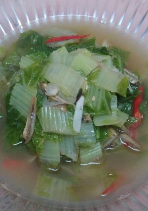 Foto resep Tumis Sawi Putih + Teri