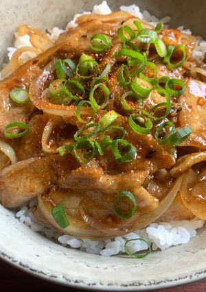 A picture of Ponzu Pork Rice Bowl.