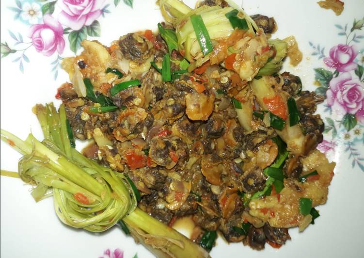 Resep Oseng-oseng Kerang Dara yang Bisa Manjain Lidah