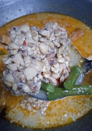 Foto resep Sayur santan campur-campur