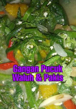 Foto resep Gangan Pucuk Waluh wan Pakis