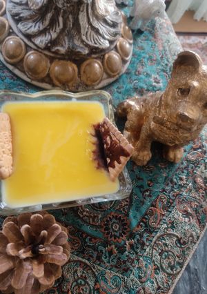 عکسی از دستور کاسترد