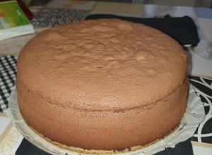 O poză a rețetei Blat de tort cu cacao.