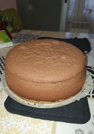 O poză a rețetei Blat de tort cu cacao.