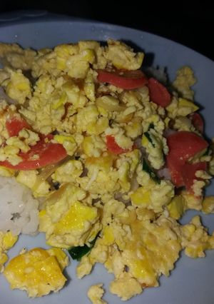 Foto resep Mpasi 15 bulan orak arik tahu