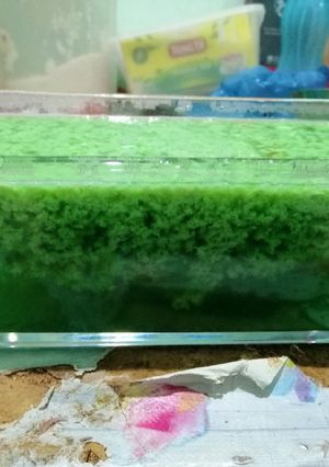 Foto resep Puding lumut