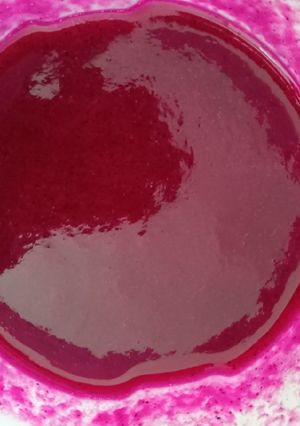 Foto resep Pure buah naga
