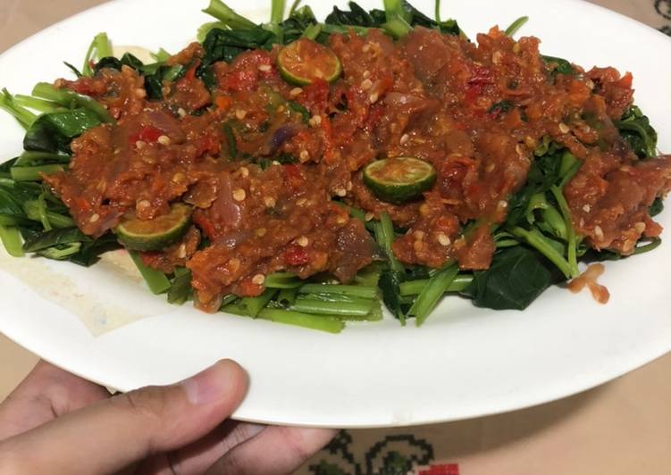 Pelecing kangkung