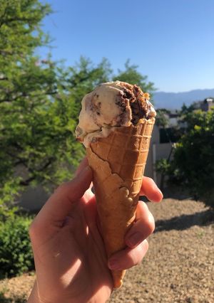 A picture of Vanilla bean ice cream with ginger biscuits, caramel and chocolate.