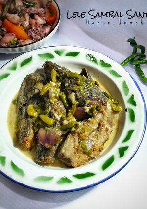 Foto resep Lele Sambal Santan (Tanpa Minyak)