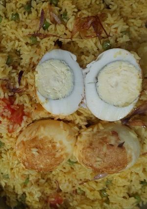 A picture of Egg Taheri.