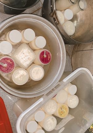 Hình của món Yaout phô mai (creamcheese).