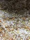 URAD KAY ATTAY KI MITHAYI (URADIYE)