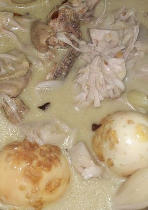 Foto resep 9. Opor Komplit