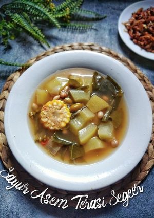 Foto resep Sayur Asem Terasi Segeer