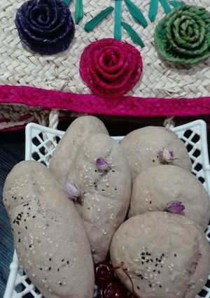 عکسی از دستور نون همبرگر و ساندویچ روگن