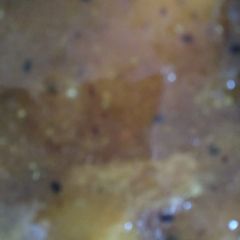 A picture of Mango chutney.