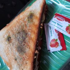 A picture of Veg grilled cheese sandwich.