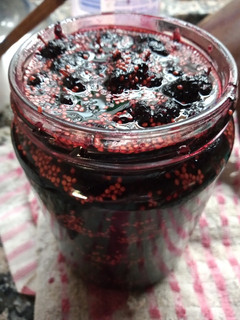 Una foto de Dulce de moras!!!