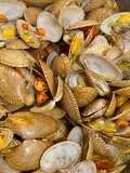 36. Kerang Batik Masak Pedas