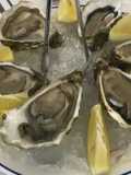 Ostras