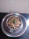 *சம்பா கோதுமை குறுணை, உப்புமா*(broken wheat upma recipe in tamil)