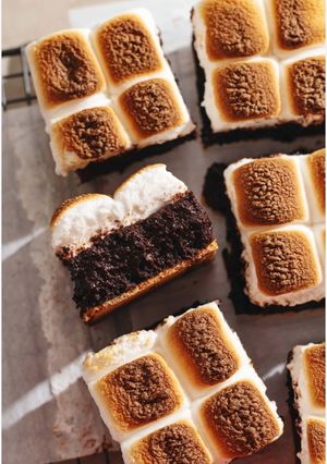 A picture of Gooey S’more Brownies.