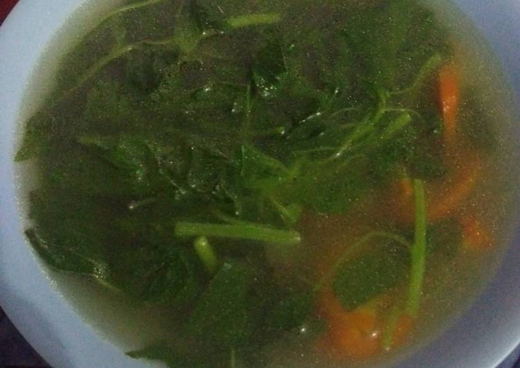 Sayur Bayam Bening Seger