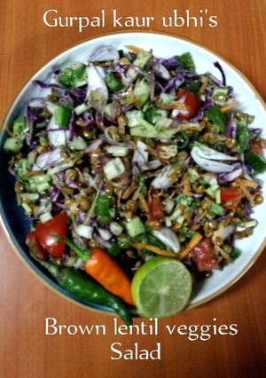A picture of Brown lentil veggies salad 🥗.