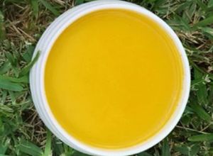 Una foto de Golden Milk