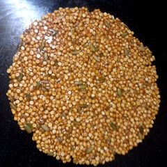 A picture of Sun flowers & pumpkin seeds chikki.