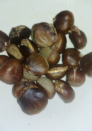 صورة لوصفة القسطل
