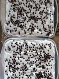 Chocolate Lasagna