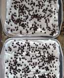 Chocolate Lasagna