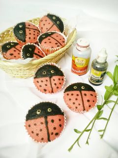 Foto resep Bolu kukus karakter (ladybugs / kepik)