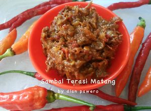 Foto resep Sambal Terasi Matang