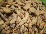 Gambar bumbu marinasi ikan wader