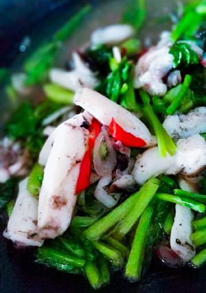 Foto resep Tumis cumi sawi