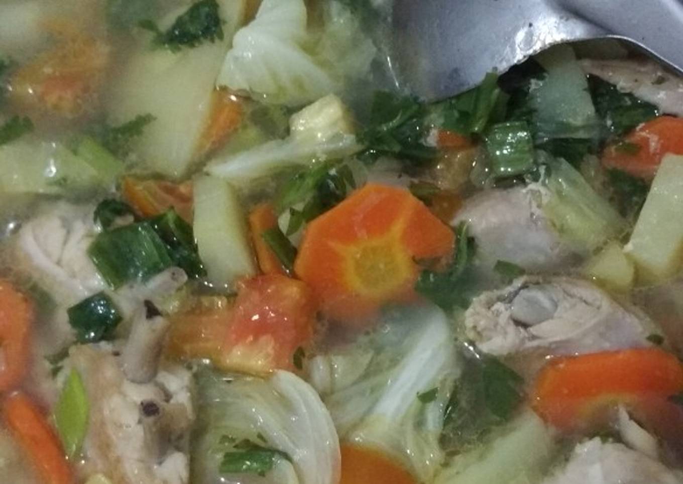 Sup ayam & sayuran