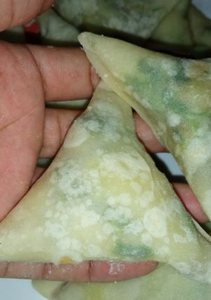 A picture of Samosa pockets.