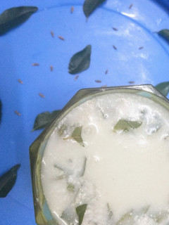 நீர் மோர் (Neermor recipe in tamil) செய்முறை முக்கிய புகைப்படம்