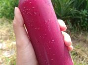 Gambar jus buah bit untuk detok
