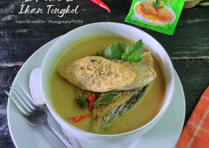 Kari Ikan Tongkol (Bumbu Instan)