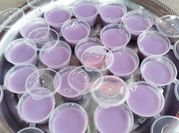 Gambar silky pudding maizena