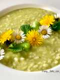 Fava Bean and Pecorino Risotto