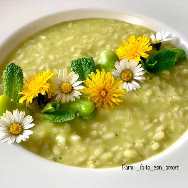 Risotto de habas y pecorino