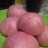 Bak pao strawberry coklat "empuk"